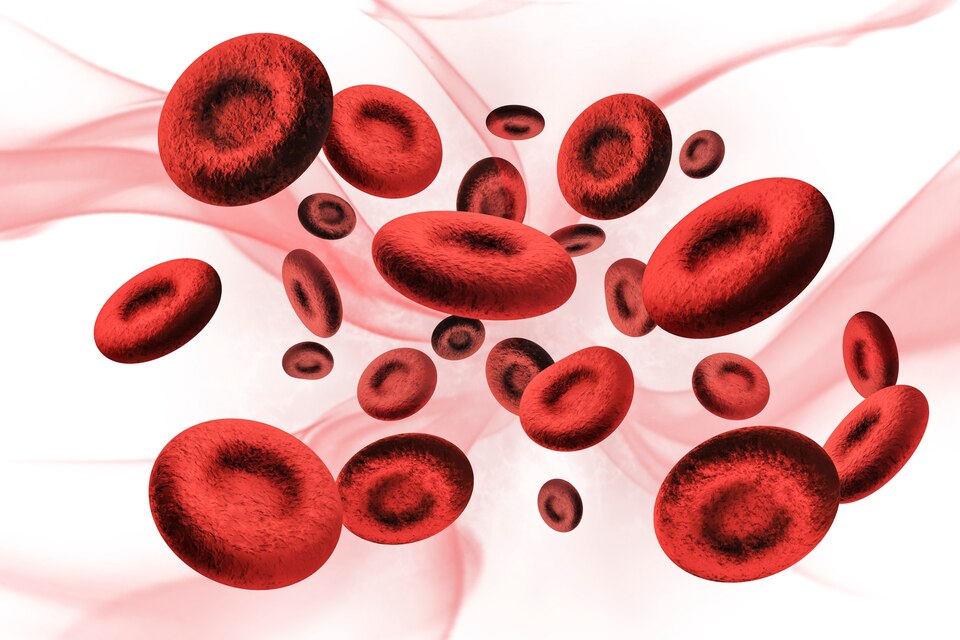 Reduction of Anemia and Iron Deficiency